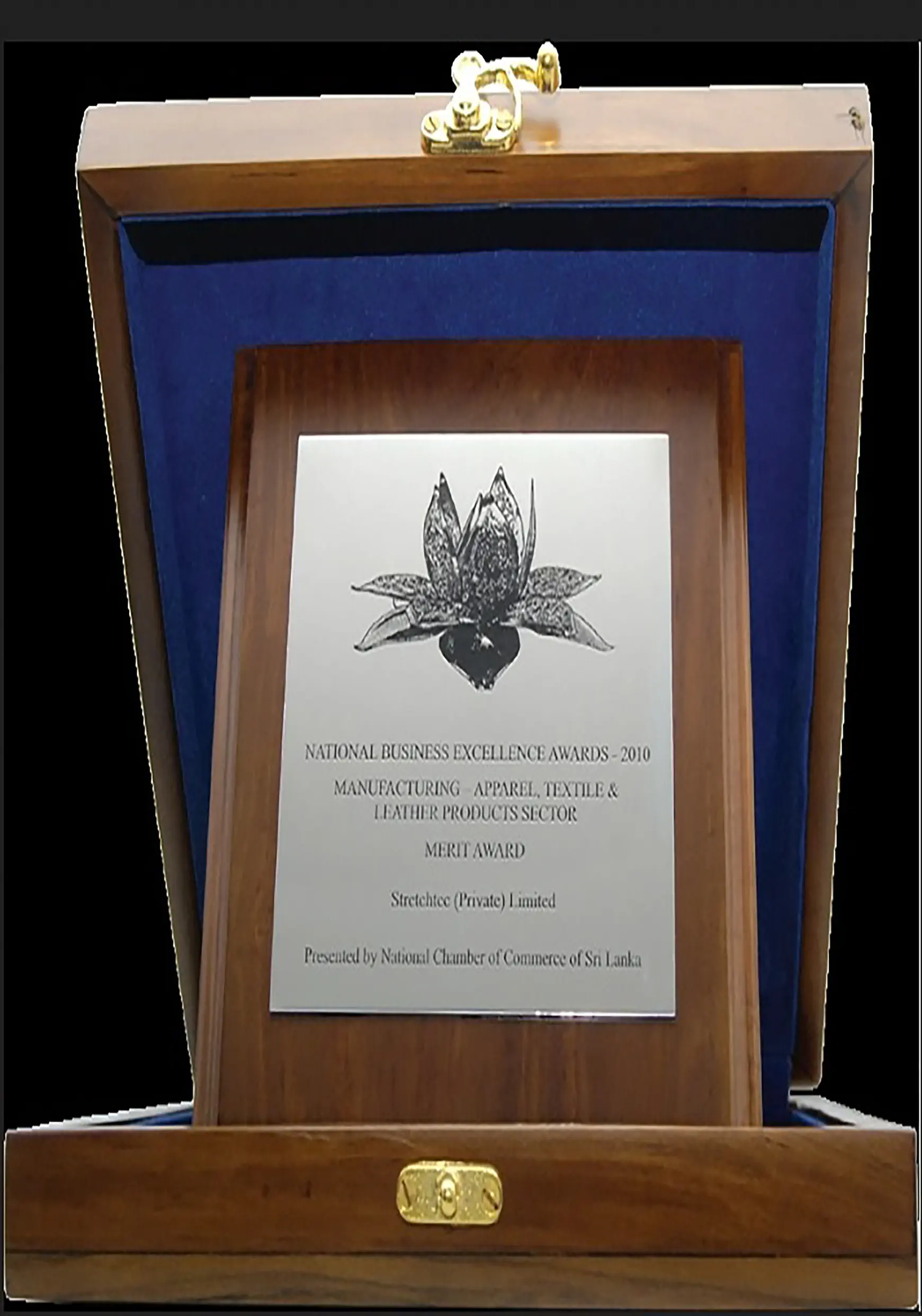 National Business Excellence Awards – Merit Award (event photo)